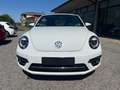 Volkswagen Maggiolino Maggiolino Cabrio 1.4 tsi Sport dsg FULL OPTIONAL Wit - thumbnail 3