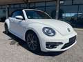 Volkswagen Maggiolino Maggiolino Cabrio 1.4 tsi Sport dsg FULL OPTIONAL Wit - thumbnail 2