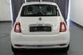 Fiat 500 Anniversario 105 Klimaauto+Panorama+Apple+PDC+16J! Weiß - thumbnail 5