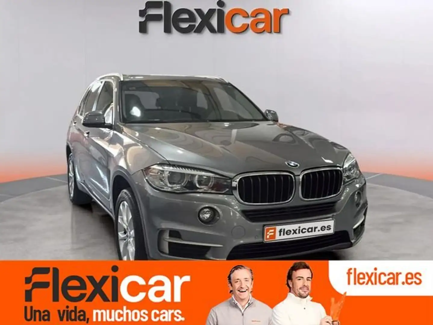 BMW X5 xDrive 30dA Gris - 1
