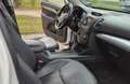 Kia Sorento Sorento 2.2 CRDi AWD Aut. Platinum Edition Weiß - thumbnail 7