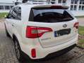 Kia Sorento Sorento 2.2 CRDi AWD Aut. Platinum Edition Weiß - thumbnail 4