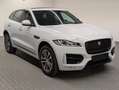 Jaguar F-Pace R-Sport AWD Navi/Pano/Meridian/Kam/19"LM Weiß - thumbnail 6