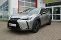Lexus UX 250h Executive 3 Jahre Garantie - thumbnail 1