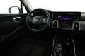Kia Sorento 1.6 TGDI Hybrid Emotion 2WD Bleu - thumbnail 14