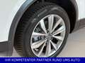 Volkswagen T-Roc Style/AHK/PDC/NAVI/ACC/NEUWERTIG!1.HAND Weiß - thumbnail 7