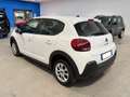 Citroen C3 BlueHDi 100 cv Business Combi n1 Autocarro 4 posti Weiß - thumbnail 2