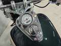 Honda VT 750 Chopper 750C2 Shadow ACE A2 nette motor Verde - thumbnail 22