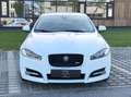 Jaguar XF XF 3,0 Diesel Premium Luxury R-Dynamic Weiß - thumbnail 2