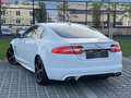 Jaguar XF XF 3,0 Diesel Premium Luxury R-Dynamic Weiß - thumbnail 4