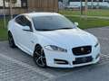 Jaguar XF XF 3,0 Diesel Premium Luxury R-Dynamic Weiß - thumbnail 7