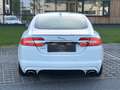 Jaguar XF XF 3,0 Diesel Premium Luxury R-Dynamic Weiß - thumbnail 5