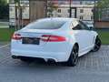 Jaguar XF XF 3,0 Diesel Premium Luxury R-Dynamic Weiß - thumbnail 6