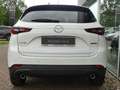 Mazda CX-5 2023 e-SKYACTIV G 165 AD´VANTAGE Blanc - thumbnail 4