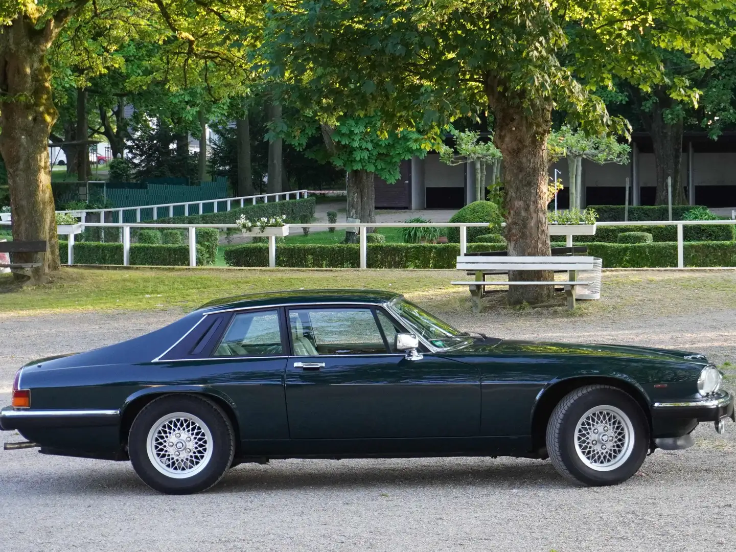Jaguar XJS XJS V12 Automatik Verde - 1