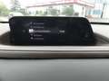 Mazda CX-30 2.0 SKYACTIV-G M Hybrid Selection Aut. LED Rouge - thumbnail 15