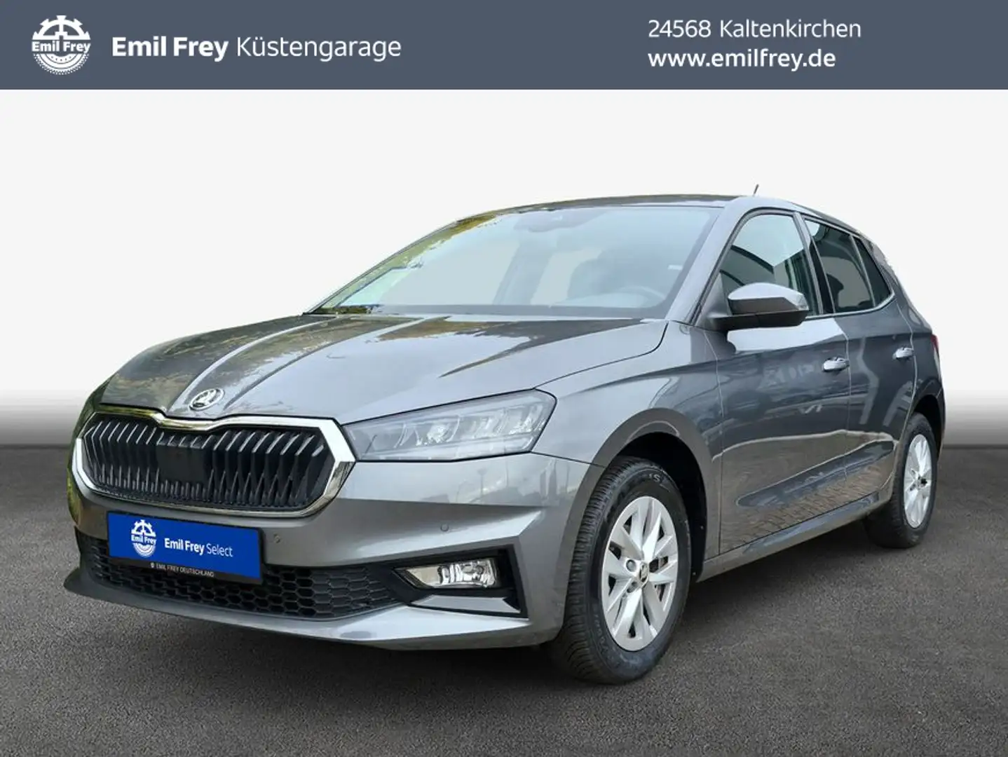 Skoda Fabia Selection 1.0 TSI Kamera/LED/Navi Grau - 1