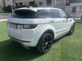 Land Rover Range Rover Evoque 5p 2.2 td4 dinamic 150cv Bianco - thumbnail 12