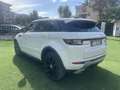 Land Rover Range Rover Evoque 5p 2.2 td4 dinamic 150cv Bianco - thumbnail 5