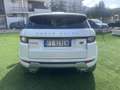Land Rover Range Rover Evoque 5p 2.2 td4 dinamic 150cv Bianco - thumbnail 2