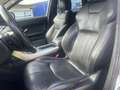 Land Rover Range Rover Evoque 5p 2.2 td4 dinamic 150cv Bianco - thumbnail 8