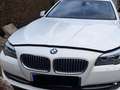 BMW 520 520d Weiß - thumbnail 1