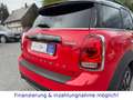 MINI Cooper SD Countryman All4 *HEAD-UP,PANORAMA,LED* Rosso - thumbnail 7