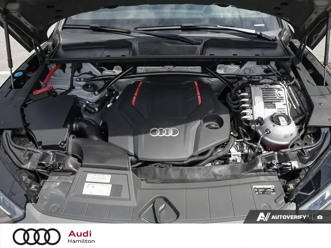Audi SQ5 photo Audi SQ5
