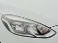 Ford Fiesta 1.0 EcoBoost S/S Trend+ 100 Blanco - thumbnail 23