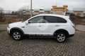 Chevrolet Captiva Captiva 2.2 VCDi 184CV aut. 4WD LTZ Blanc - thumbnail 8