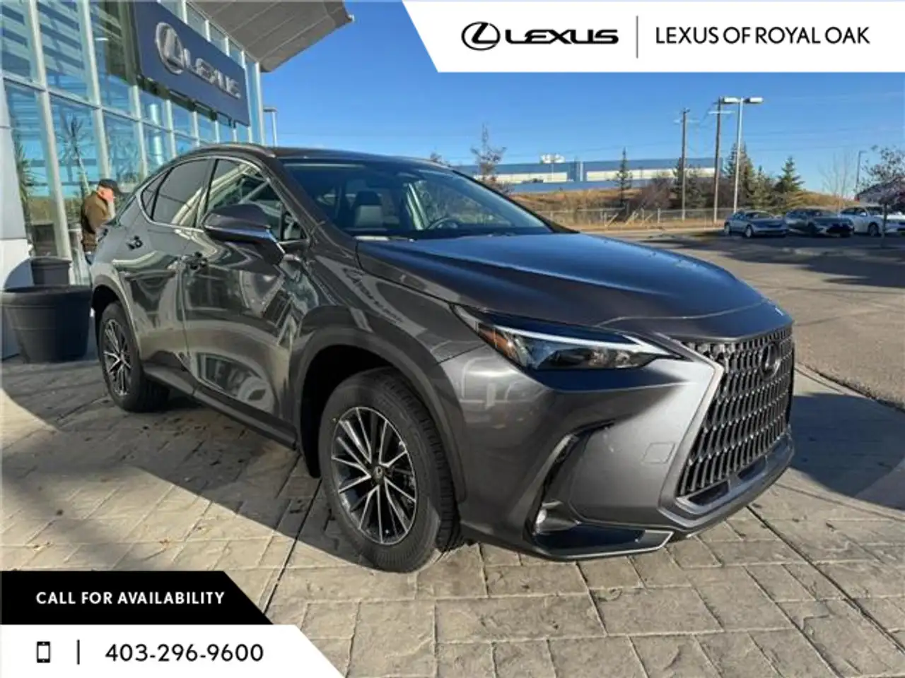 Lexus NX снимка Lexus NX