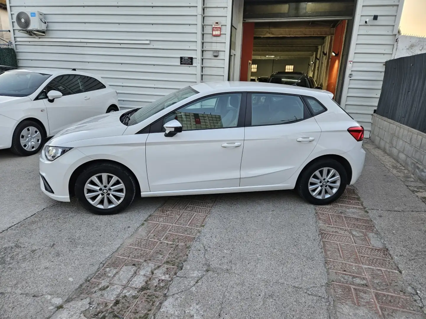 SEAT Ibiza 1.6TDI CR S&S Reference 95 Blanco - 2