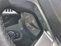 Ford Tourneo Connect 1.0 Titanium NAVI / CAMERA / PANORAMADAK / CRUISE Beige - thumbnail 12