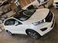 Ford Edge Sport 4x4 *2. Hand*AHK*Klima*Navi*Kamera* Weiß - thumbnail 19