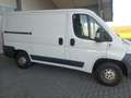 Fiat Ducato Weiß - thumbnail 4