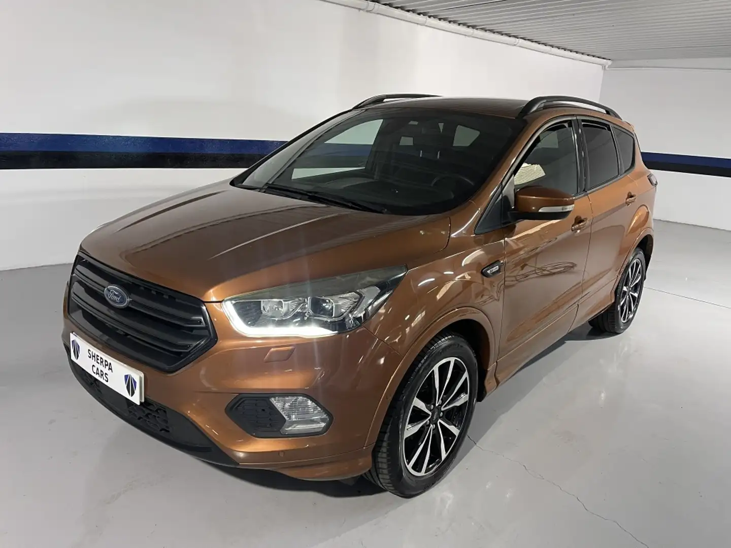 Ford Kuga 2.0TDCi Auto S&S ST-Line 4x2 150 Beige - 2