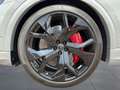 Audi RS Q8 4.0 TFSI Q. Matrix Design Paket Kamera Grau - thumbnail 17