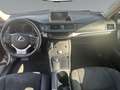 Lexus CT 200h BUSINESS 8fach bereift ! Schwarz - thumbnail 9