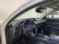 Mazda CX-30 CX-30 1.8 Exclusive 2wd 116cv 6mt Bianco - thumbnail 15