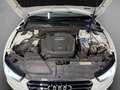 Audi A5 2.0 TDI quattro 3x S-line DTM-Edition (1of300) S-t Weiß - thumbnail 43