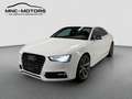 Audi A5 2.0 TDI quattro 3x S-line DTM-Edition (1of300) S-t Weiß - thumbnail 1