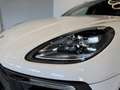Porsche Macan GTS Aut. Blanco - thumbnail 12