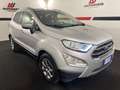 Ford EcoSport 1.0 EcoBoost 100 CV Titanium Argento - thumbnail 3