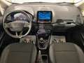 Ford EcoSport 1.0 EcoBoost 100 CV Titanium Argento - thumbnail 13