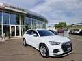 Audi Q3 35 TFSI advanced * AHK * KAMERA Weiß - thumbnail 3