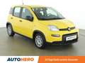 Fiat Panda 1.0 Mild-Hybrid *SPUR*KLIMA* Gelb - thumbnail 8