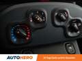 Fiat Panda 1.0 Mild-Hybrid *SPUR*KLIMA* Gelb - thumbnail 20