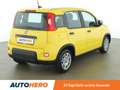 Fiat Panda 1.0 Mild-Hybrid *SPUR*KLIMA* Gelb - thumbnail 6