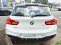 BMW 116 116i M SPORT Bianco - thumbnail 6