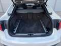 BMW X6 xDrive 30d M-SPORT HARMAN KARDON - SOFT CLOSE Weiß - thumbnail 22